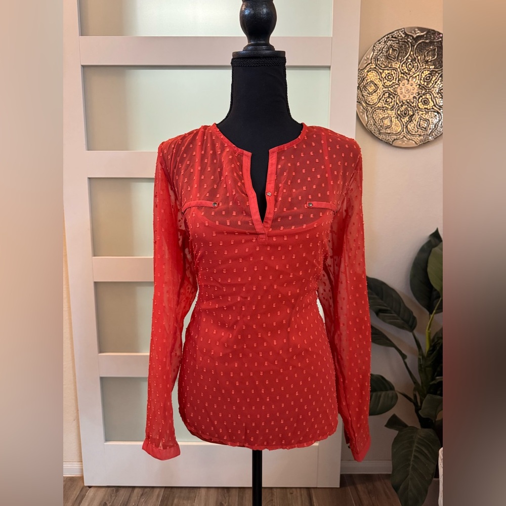 Vibrant Burnt Orange Sheer Blouse w/Camisole